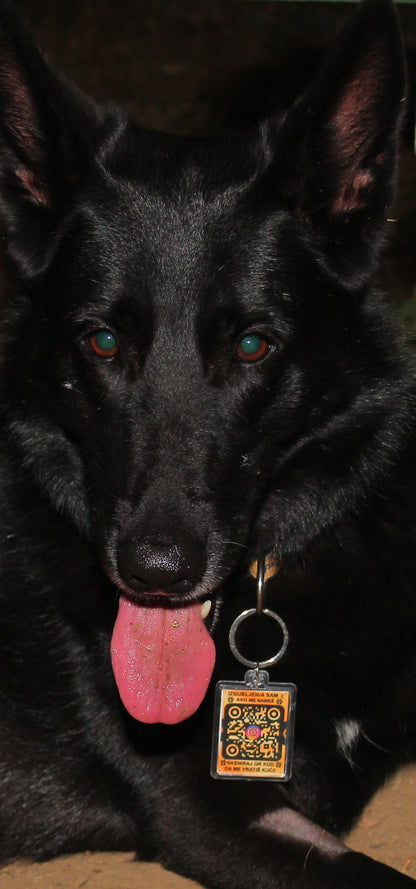 "NOVO" IZGUBLJENA ŠAPICA PRIVEZAK – DIGITALNA LIČNA KARTA ZA LJUBIMCE, SA PODACIMA VLASNIKA